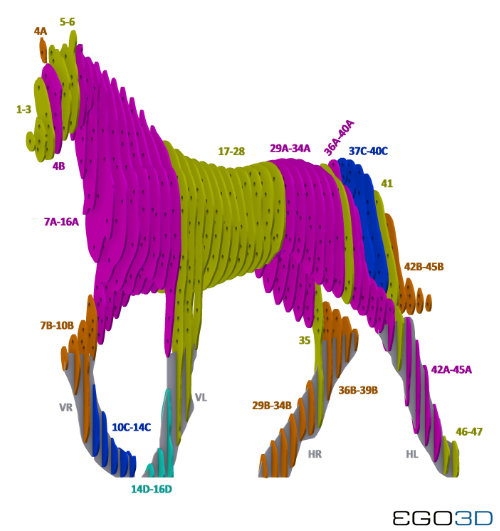 EGO3D_Farbcodierte_Aufbauanleitung EGO3D_Farbcodierte_Aufbauanleitung